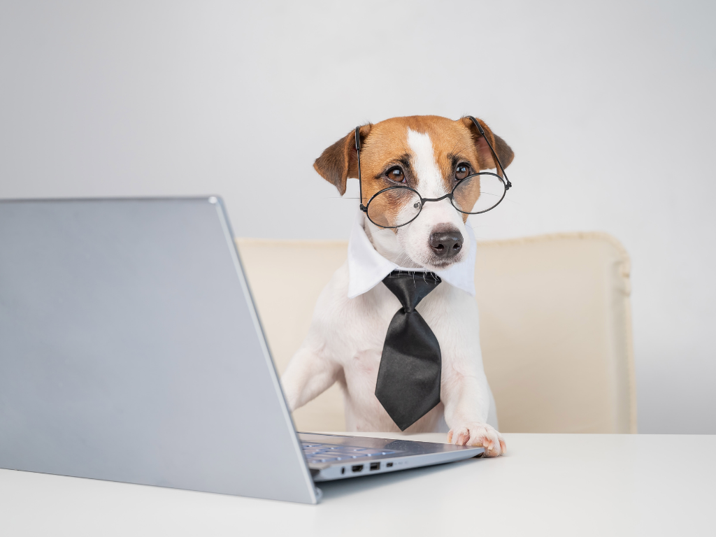 Unleashing Innovation: Shepherd’s Early 2024 Feature Updates for Veterinary Practices
