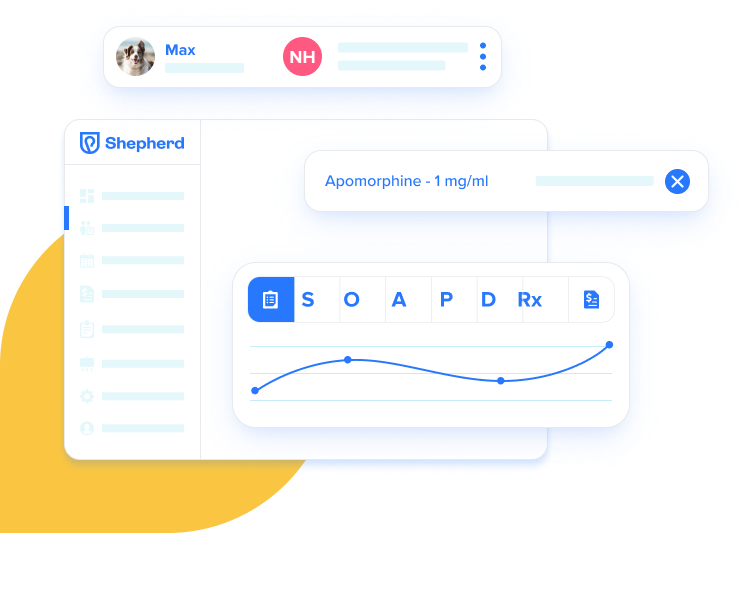 Mobile friendly vet practice software